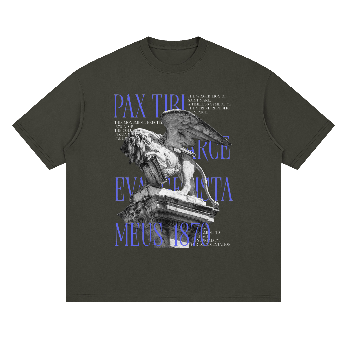 Streetwear Loose Drop Shoulder T-Shirt, Vintage Venice Lion Statue Typography T-Shirt