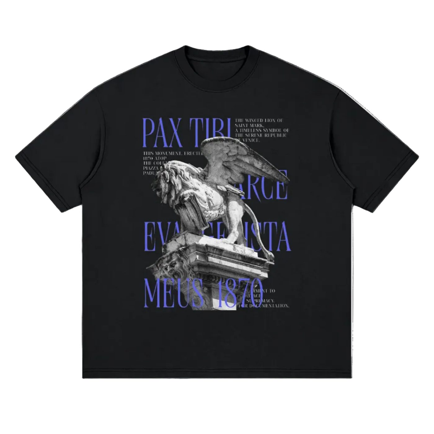 Streetwear Loose Drop Shoulder T-Shirt, Vintage Venice Lion Statue Typography T-Shirt
